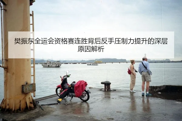 樊振东全运会资格赛连胜背后反手压制力提升的深层原因解析